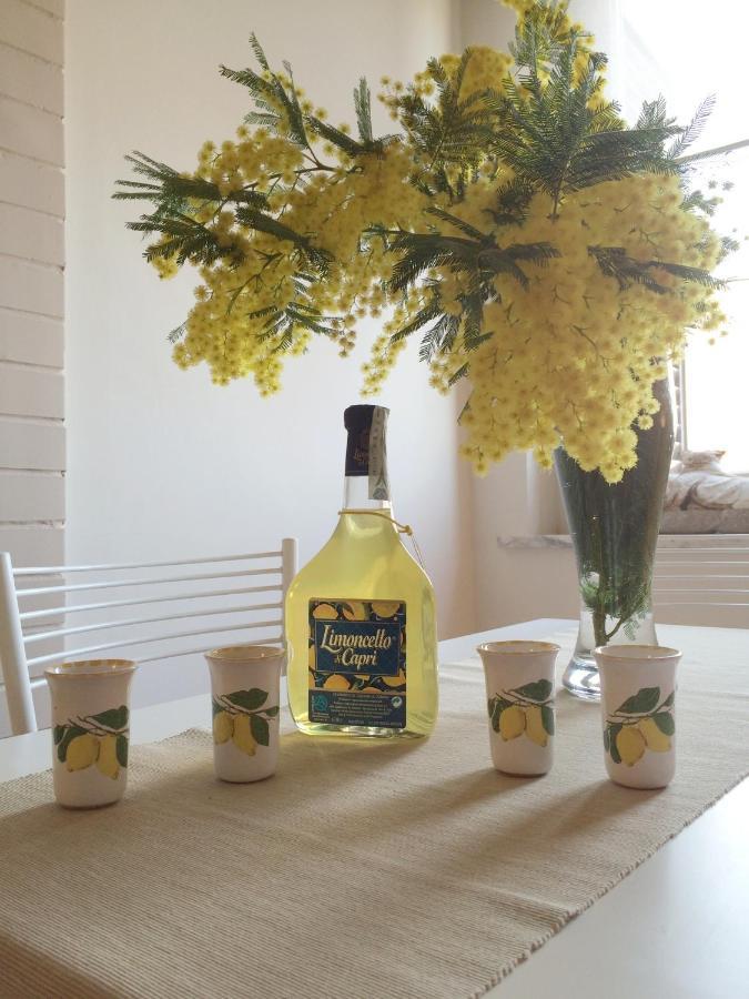 Vesuvio House Appartamento Indipendente E Centrale Sant'Agnello Zewnętrze zdjęcie